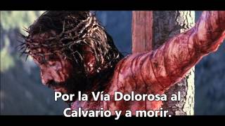 Via Dolorosa lyrics [upl. by Nady]