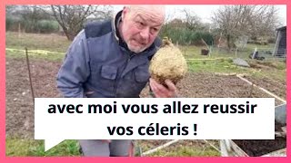 Fevrier au potager  vous ne direz plus jamais quotquot j ai des petits céleris quotquot [upl. by Leumel]