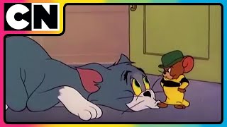 Tom amp Jerry 😺🐭  Million Dollar Chaos Faction  Cartoon for Kids  Only on Cartoon Network [upl. by Nyleak]