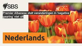 Premier Albanese sluit veranderingen in negative gearing niet uit  SBS Dutch  SBS Nederlands [upl. by Whitcher]