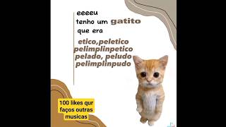 eu tenho um gatito [upl. by Daffi]