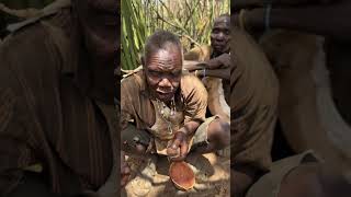 Hadzabe tribe ancient bush people still live old traditional lifestyle in the nature off of land [upl. by Aztiraj]