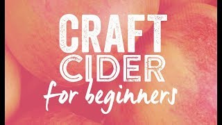 How to make Cider with the Mad Millie Cider Starter Kit [upl. by Grefer469]