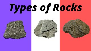 3 Main Types of Rocks [upl. by Haily716]