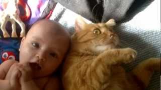 Cat attacks baby  with love [upl. by Quick392]