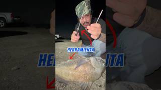 Aguja GIGANTE para SALVAR este PEZ 😱💉⁉️ fishing pesca howto [upl. by Alemrac]