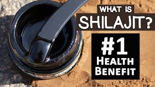 1 Health Benefit of Shilajit and Top 3 Uses [upl. by Dnalro757]