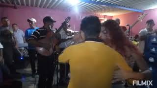 CAÑA BRAVA VIOLINES DE PARAGUANÁ [upl. by Camille521]