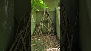 TiPi Structure found at Camp Hero Montauk Bunker teepee explore abandonedplaces longisland [upl. by Steffy]