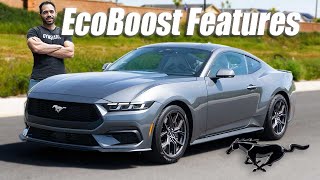 2024 FORD Mustang Eco Boost Premium Features  Worth it Over the GT [upl. by Myrlene37]