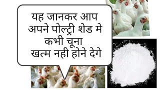 How to use lime in poultry shed पोल्ट्री शेड मे चूने का महत्व by sunny poultry farming [upl. by Eclud451]