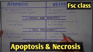 Apoptosis And Necrosis  Class 12 Biology [upl. by Idell]