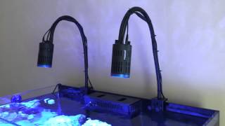 Red Sea Reefer 250  Kessil A160 WE and Spectral Controller [upl. by Cassidy]