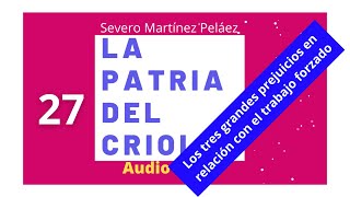 LA PATRIA DEL CRIOLLO AudioLibro  Severo Martínez Peláez  27 [upl. by Inasah]