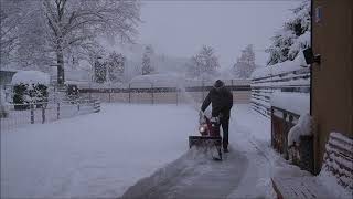 2023 12 02 SCHNAUZERL versinkt im SCHNEE [upl. by Carhart537]