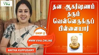 தன ஆகர்ஷணம் தரும் வெள்ளெருக்குப் பிள்ளையார்  Vellerukku Pillayar  Anitha Kuppusamy Viha [upl. by Nage484]