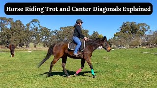 Horse Riding Trot and Canter Diagonals Explained  Horse Riding Tutorial  Equestrian [upl. by Leivad]