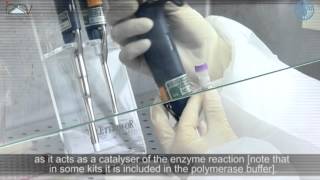 PCR Master Mix preparation and RTPCR [upl. by Veronike769]