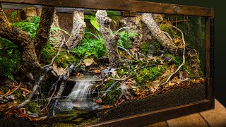 Realistic Indoor Meandering Creek Forest Biome Vivarium [upl. by Takken910]