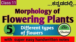 Class 11 ಕನ್ನಡದಲ್ಲಿ  Morphology of Flowering Plants  05  Flower [upl. by Yekcin]