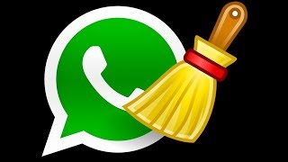 Borrar fotos y videos de un grupo de WhatsApp [upl. by Vanna]