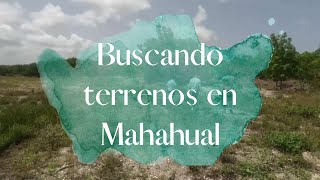 Como comprar terrenos en Mahahual Quintana Roo 🌴🏖️😎 [upl. by Brynn571]