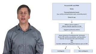 An Approach to Acute Dyspnea [upl. by Munsey823]