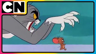 Tom’s Wild Trap Showdown 😲  TomandJerry 😺🐭 Compilation  Cat amp Mouse  Funny Cartoon  cnindia [upl. by Razatlab]