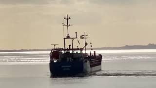 More of Eems Servant resting on the sandbanks Aground in RiverSevern Sharpness [upl. by Ellenehs]