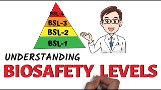 Understanding Biosafety Levels [upl. by Acey]