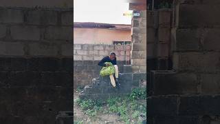 Man impregnated a woman and try to run away funny goviral [upl. by Donela]