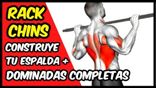 RACK CHINS  Cómo hacerlos en 1 MIN ✅ Consigue primera DOMINADA COMPLETA con este EJERCICIO [upl. by Nosidam173]