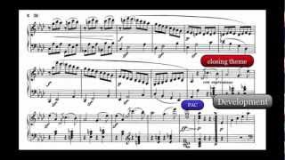 Beethoven Analysis Piano Sonata in F minor Op 2 No 1 I Allegro [upl. by Norrie329]