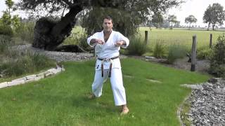 Hangetsu Seishan Bunkai Trailer [upl. by Diane]