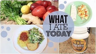 WHAT I ATE TODAY  LACTOOVO VEGETARIAN [upl. by Zollie]