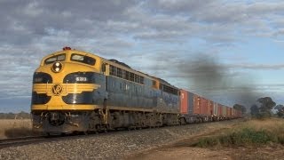 Classic EMD diesels with POTA Freight to Tocumwal 1672011 Australian Trains [upl. by Mchail]