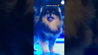 Kim Yeontan is so smart jst like his dad Kim Taehyung🤭😍💜 [upl. by Marcelle]