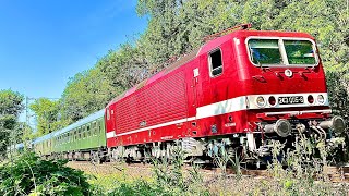 243 005 mit ihrem Sonderzug nach Wismar in CaputhGeltow am 08062024 [upl. by Alekahs106]