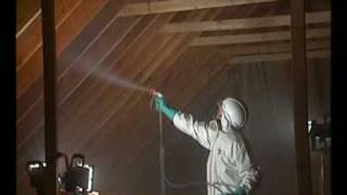 MOLD REMEDIATION VIDEO  Envirotech Call 18007242102 or wwwnaturallythebestcom [upl. by Nedyah]