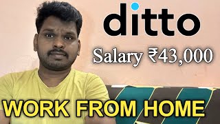 Ditto Work From Home Job  M Tube Jobs  Salary ₹43000  💻 Free [upl. by Aehsrop222]