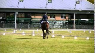 Jet Li Dressage Novice 22 Test [upl. by Anawyt]