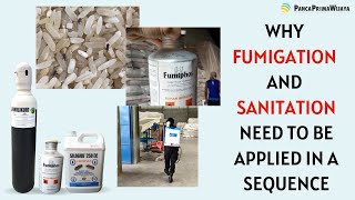 Why fumigation and sanitation need to be applied in a sequence  Grain fumigation phosphine [upl. by Nesyt109]