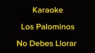 Karaoke  Los Palominos  No Debes Lorar [upl. by Surtimed42]