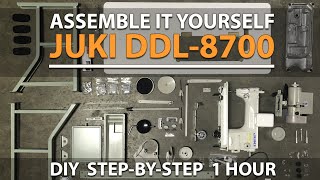 My Review Juki DDL 8700 [upl. by Brogle]