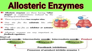 Allosteric Enzymes And Feedback Mechanism  Lecture No  28 [upl. by Batruk]