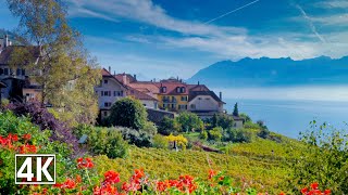 Epesses One of the Most Beautiful Villages in Switzerland 🇨🇭 Lake Geneva Lavuex The Alps [upl. by Oneill]