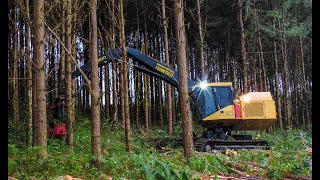 Harvester Tigercat LH855C  Waratah 622B [upl. by Odetta156]