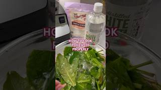 Pokeweed Delicious and Healing How to a properly cook it plantmedicine antiinflammatory [upl. by Gut]