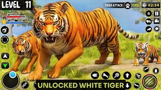 The Tiger Simulator Gameplay  5 Tigers vs 2 Hippopotamus [upl. by Godfree46]