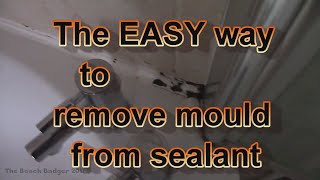 The easy way to remove mould from bathroom sealant still works in 2024 [upl. by Perkoff]